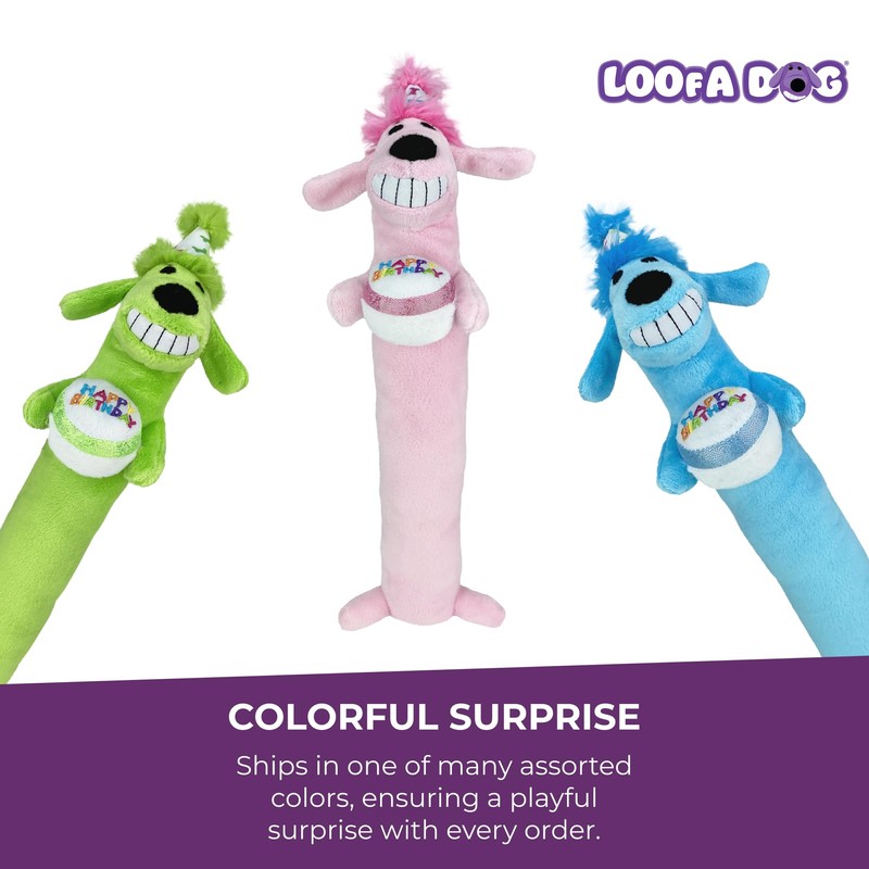 Multipet Loofa Dog Plush Toy w/ Birthday Hat - Squeaky