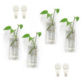 Bunhut Wall Planters for Indoor Plants,Wall Hanging Terrarium Planters,Glass Wall Planters for Floral Arrangement,Hanging Plant Holder, Wall Vase,Wall Mounted Planters (4 Glass Wall Planter)