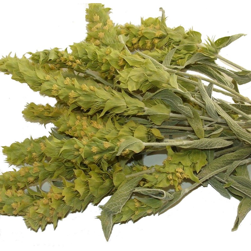 Sparta Natura Greek Mountain Tea, Organic from Mount Olympus, Herbal