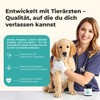 Probiotic Powder for Dogs - Paselo® Intestinal Flora+ Supports Digestion
