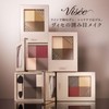  Visee Nuance Matte Creator 003 Chestnut Brown 5g Powder