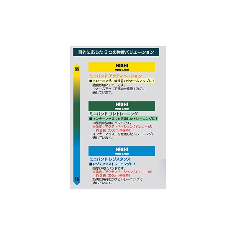 NISHI NT7930G Resistance Mini Band (Blue)