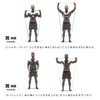 Sakurai Trading Erugam Muscular Band, Present, Super Hard, Green