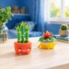 Hey Clay Plant Friends – Grande Set