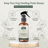 Dog Deodorizer Spray, Pet Odor Eliminator Dog Deodorizing Spray –