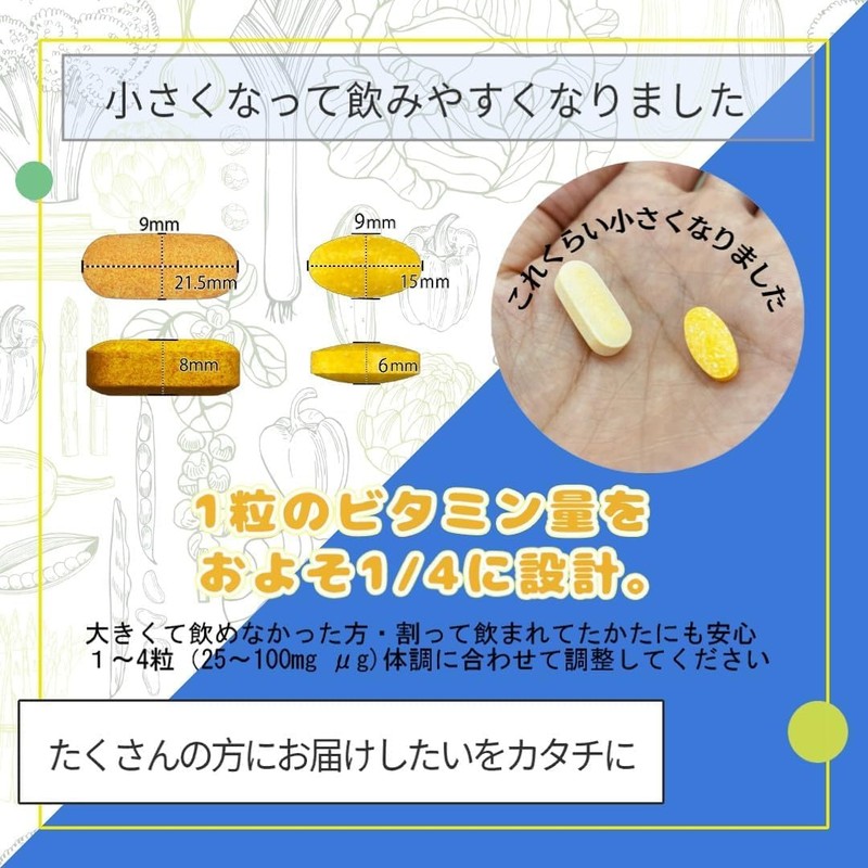 ニューサイエンス ビタミンB+ ビタミンB1 ビタミンB2 ビタミンB6 ビタミンB12 葉酸 酵母 無添加 GMP