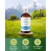 BitterKraft! Dignatio Bladder Power - 100 ml | Natural Support