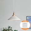 Helunsi 32.8ft Twisted Cloth Covered Wire - White 18/2 Electrical