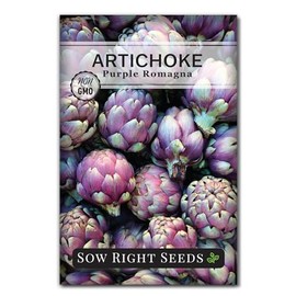 Sow Right Seeds - Artichoke Purple Romagna Seeds for Planting - Non-GMO Heirloom Packet with Instructions to Plant and Grow Outdoor Home Vegetable Garden - Perennial - Tall with Edible Flower Buds
