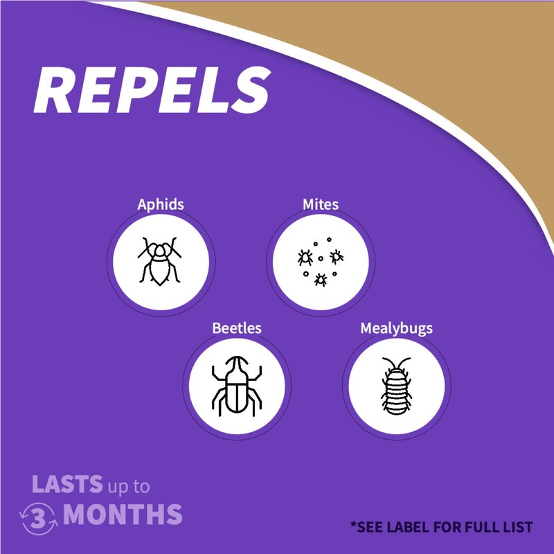 Bonide Captain Jack's Fruit Tree Spray, 16 oz Concentrate, Insect