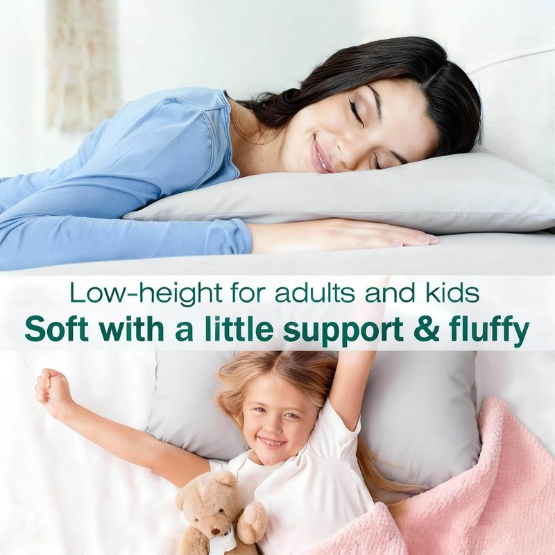 Gooeb Flat Ultra Thin Bed Pillows Standard Size Pillow Set