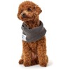 HUNTER Nancy Dog Scarf Grey One Size