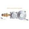 Flame King 2-Stage Propane Gas RV Regulator with POL valve
