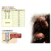 Onishi Kogyo Shiitake Mushroom Cone, Ultra High Speed Cone, NO.35,