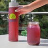 Zaaté Anteaox Blueberry Açaí 0% Azúcar. 700 g. Mezcla de