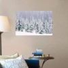 CANVAS ON DEMAND Snow Covered Pine Trees Wall Decal, Forest