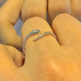 Zeshimb Gothic Silver Snake Ring Set - Open, Adjustable, Stacking Midi Index Finger Rings for Women and Girls (2 Pcs), Metal, No Gemstone