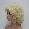 Lydell Short Length Afro Curl Full Synthetic Wig Women Wigs