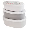 Skater SRS3SAG-A Antibacterial Bento Storage Containers, Set of 3, Miffy,