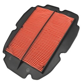 Hoypeyfiy HFA1801 Air Filter, Replacement for Honda VFR 800 V-TEC ABS 2002 2003 2004 2005 2006 2007 2008 2009 2010 2011
