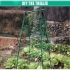7Queen Cucumber Trellis Garden Trellis Arch Trellis, Tall Metal Trellis