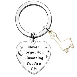 JETTOP Llama Gifts for Women Alpaca Gifts Birthday Christmas Inspirational Gifts for Women Female Never Forget How Llamazing You are