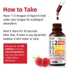 Complejo De Vitamina B Sublingual Vegano 60 Ml Hecho En