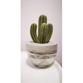 Pretty Valley Home Gypsum Cactus Fragrance Diffuser-Cutting Grass