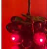 Kurt Adler 100-LIGHT SET GRAPE CLUSTER Red BURGUNDY GRAPE Indoor/Outdoor