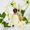 Paul Sebastian DESIGN Perfume For Women, Gift for Her, Day