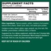 PlantFusion Vegan High Potency Methylfolate 5-MTHF – Fast Acting Sublingual