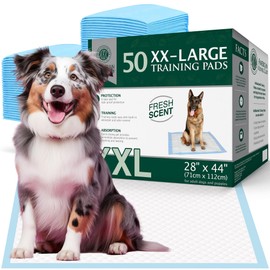 American Kennel Club Scented Puppy Pads – XXL & XXL+ Sizes – 28x44 Ultra Absorbent 6-Layer Pee Pads with Odor Control & Quick-Dry Gel – Fresh Scent – 50 Count