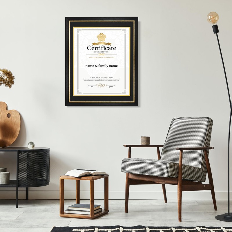 FramePro 14x17 Diploma Frame with Black over Gold Mat, 16x20