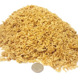 Aquatic Foods Inc. Pacific Plankton - Freeze Dried Plankton for Marine Angels, Tangs, Butterflies, Corals, Discus, South and Central American Cichlids, All Community Tropical Fish...1/8-lb