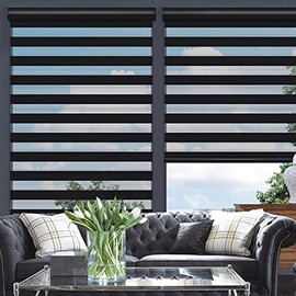 Changshade Cordless Zebra Roller Shade with Valance, Double Layered Window Blind for Day and Night, Light Filtering Window Treatment with Mesh and Opaque Fabric, 55 inches Wide, Black RBS55BK72A