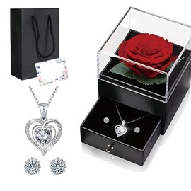 Dr. MUYA® Eternal Rose with Heart Necklace and Earrings, Jewellery Sets for Women, Infinity Roses, Valentine's Day Jewellery, Wedding Anniversary Gift for Her, Gift for Girlfriend, Women, Silver