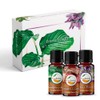Kit Aromaterapia - FAVORITOS - 3 Aceites Esenciales 100% Natural