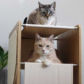 Catastrophic Creations The Grotto Cat Tree – Includes Cat Shelves, Cat Scratcher Poles & Cat Hammocks – Cat Activity Trees w/3 Seclusions – Lounging & Scratching Cat Tower for Indoor Cats