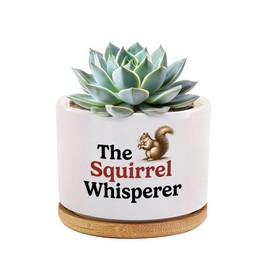 The Squirrel Whisperer Ceramic Succulent Plant Pot with Bamboo Tray Squirrel Lover Gifts for Women Men Fall Gifts Home Office Decor Plant Lover 3.5 Inch White