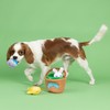 Fringe Studio Plush Dog Toy, Hide & Seek Burrow 4