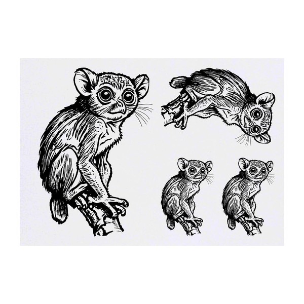Azeeda 4 x 'Philippines Kobldmaki' Temporary Tattoos - Waterproof, Skin-Friendly