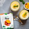 Tropickout Freeze Dried Mango Fruit Snack – Pack of 3,