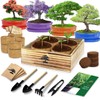 Bonsai Tree Kit, Bonsai Starter Kit with 4 Types of
