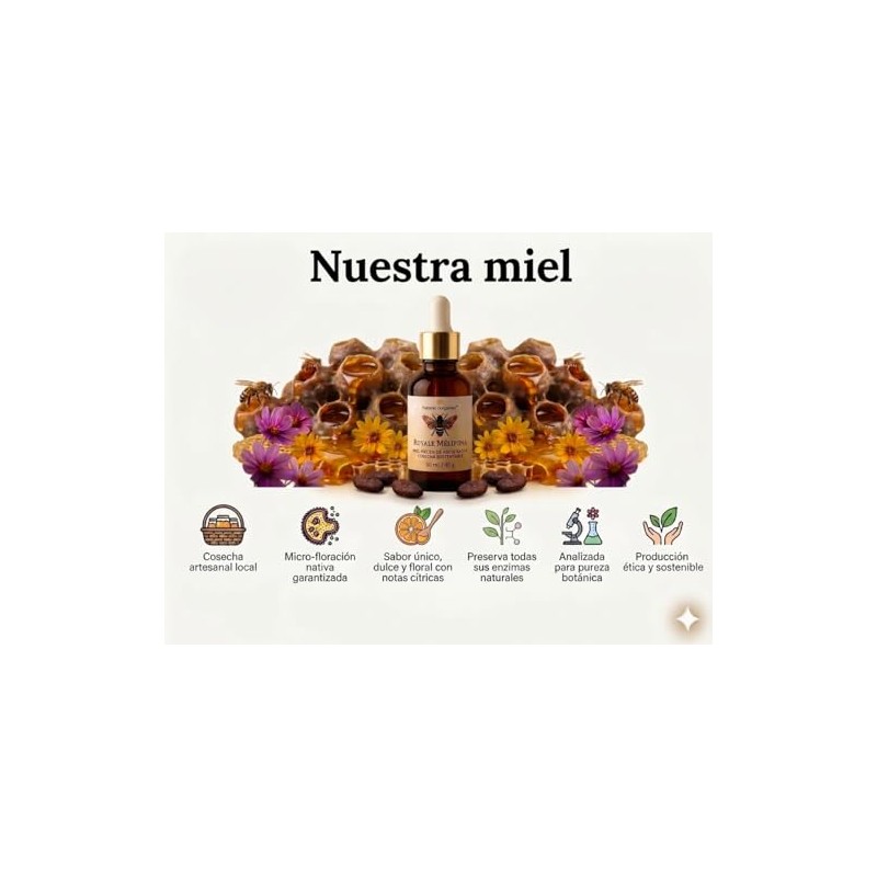 Pack Miel Melipona Pura 100 Natural Cruda Royale Mélipona Ourganics