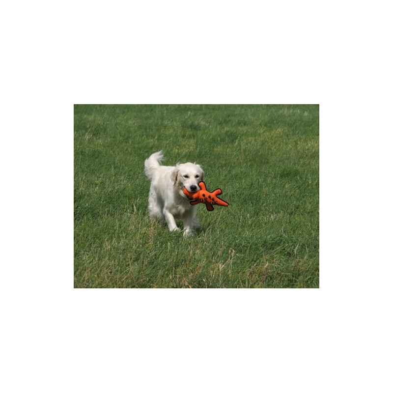 Petface (Seriously Strong by Petface) Nobbly Crocodile Dog Toy