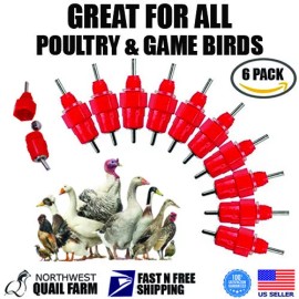 NWQuailFarm 6 Chicken Water Nipples Poultry Drinker Chicks Hen Bird Duck Pigeon Quail