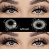 Eyelash set for DIY use lashes eyelashes tool:_Alps gray