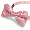 DiBanGu Mens Pre Tied Bow Tie Silk Adjustable Bow Tie