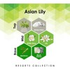 Aroma Retail Fragrance Oil Refill for Scent Machine Aroma Diffuser