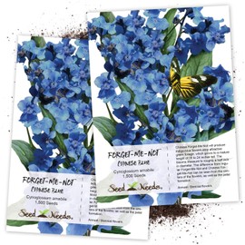 Seed Needs, Chinese Forget-Me-Not (Cynoglossum amabile) Twin Pack of 1,500 Seeds Each
